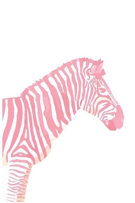 Pink Zebra Illustration