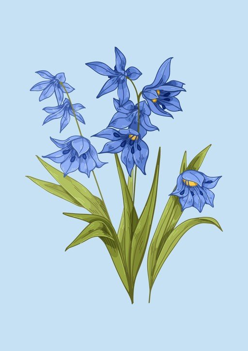 Bluebell Flowers Illustration