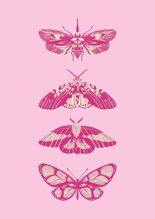Four Pink Moths and Butterflies on Pink Background