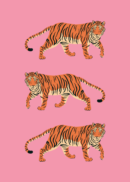 Three Tigers Walking on Pink Background