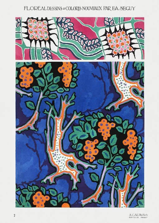 Art Nouveau Floral Designs and New Colors by E.A. Séguy