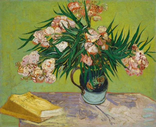 Oleanders in a Jug with a Book