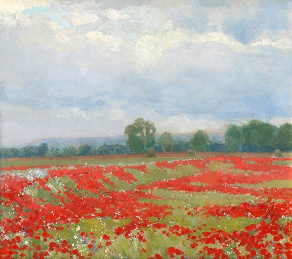 Vast Poppy Field Under a Cloudy Sky