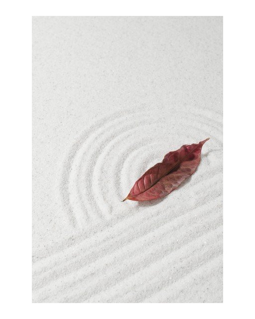 Zen Garden Raked Sand with Single Red Leaf