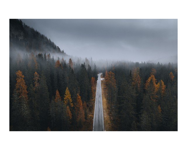 Foggy Mountain Road Through Autumn Forest