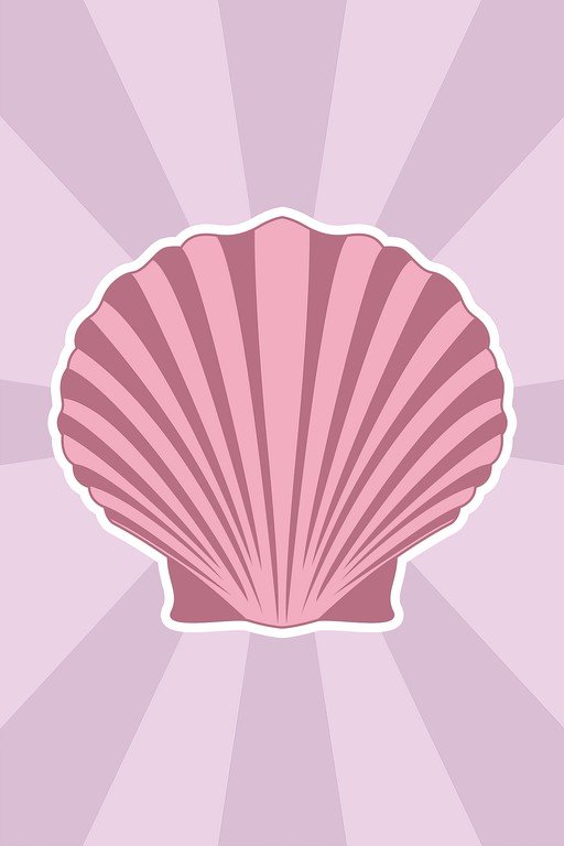 Pink Scallop Shell with Sunburst Background