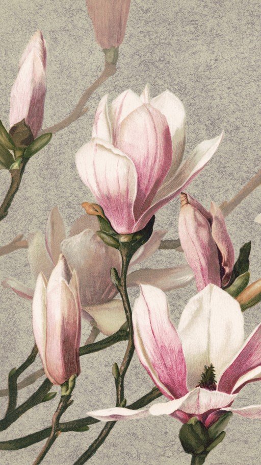 Delicate Pink Magnolia Blossoms on Textured Background