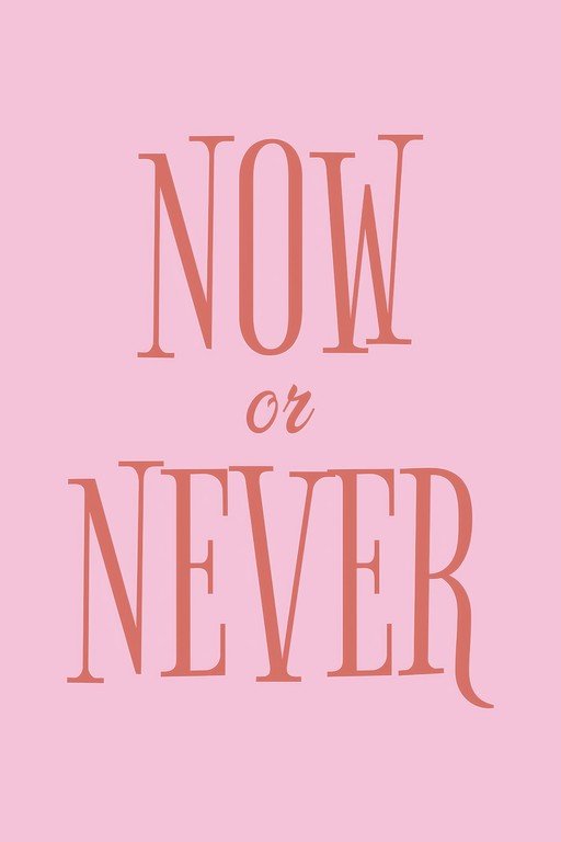 Now or Never Motivational Quote