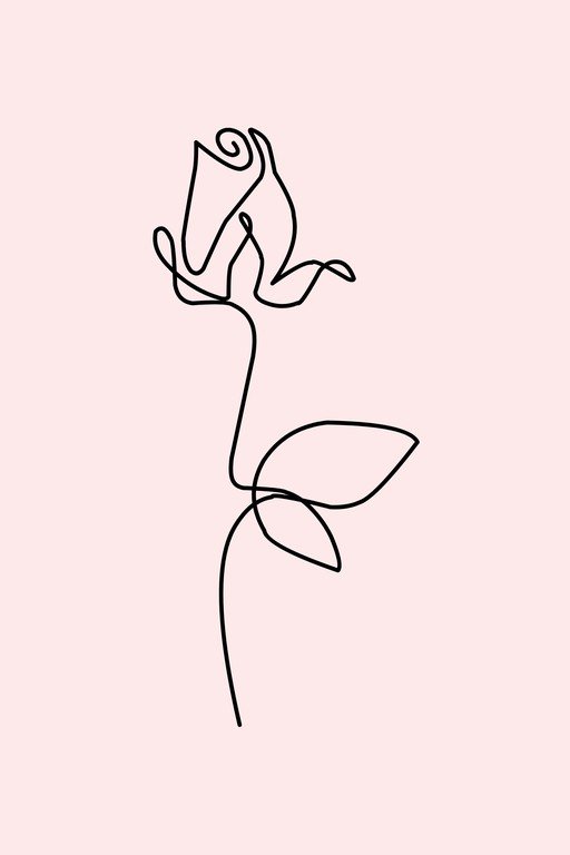 Minimalist Rose Line Art on Pink Background