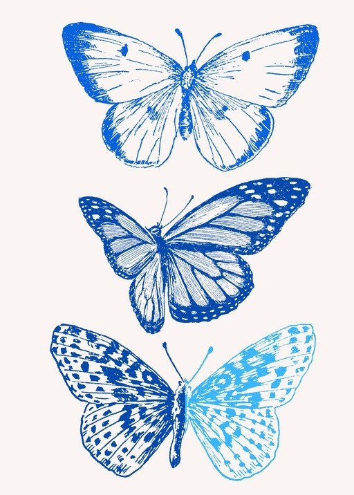 Three Blue Butterflies Illustration