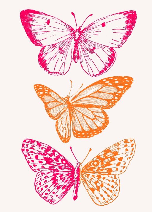 Three Stylized Butterflies in Pink and Orange