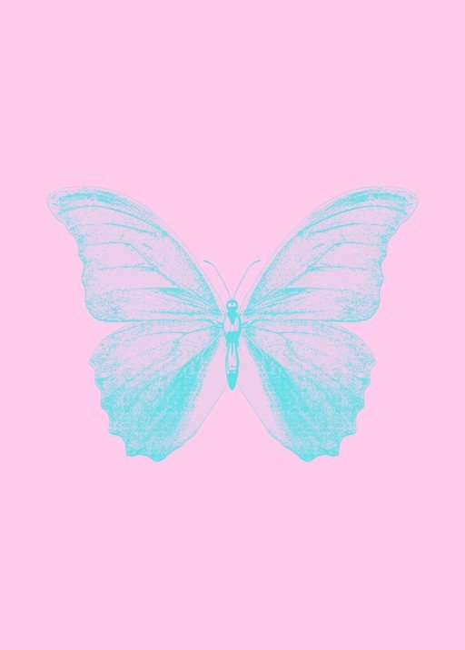 Turquoise Butterfly on Pink Background