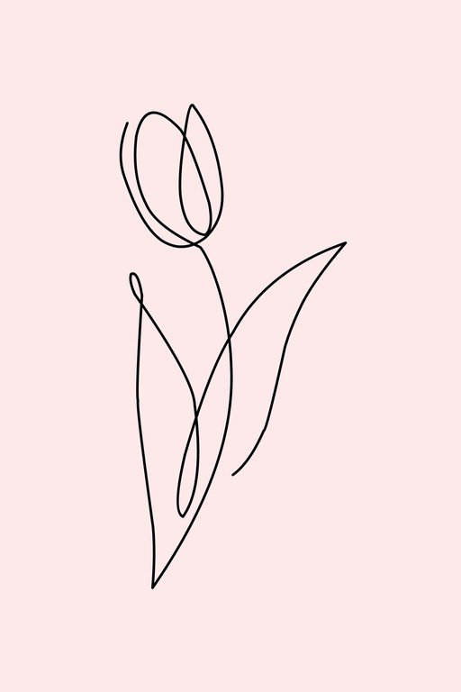 Minimalist Tulip Line Art on Pink Background