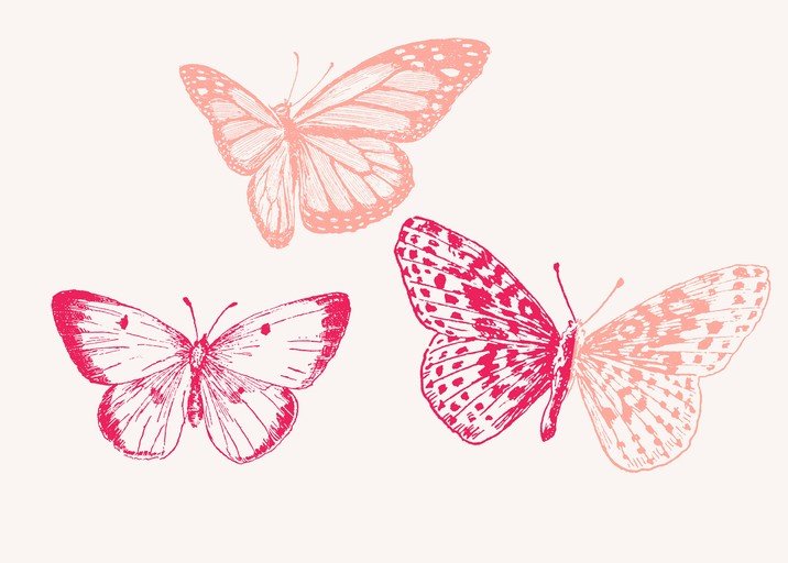 Three Butterflies in Pink and Red Tones