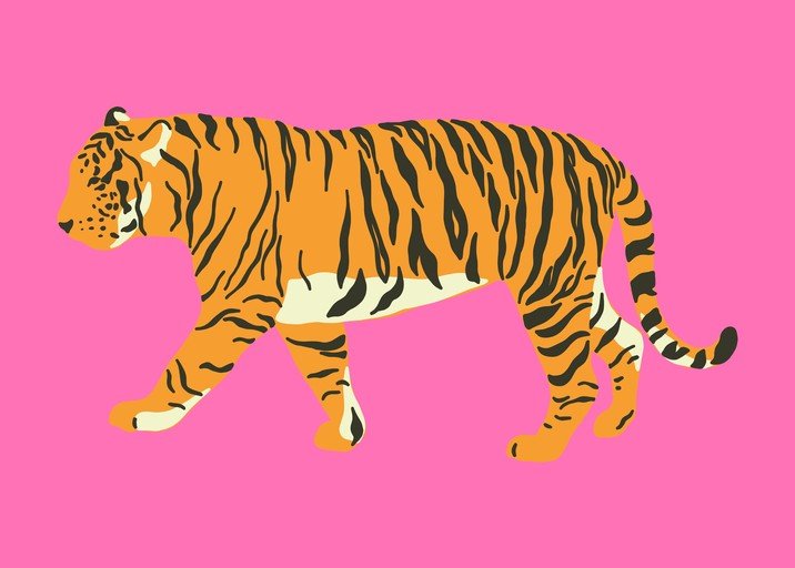 Stylized Tiger Illustration on Pink Background