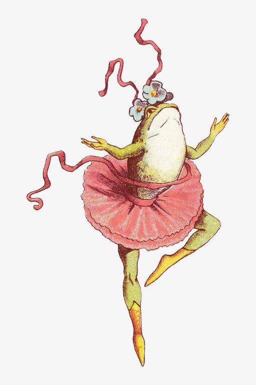 Ballet Dancing Frog in Pink Tutu