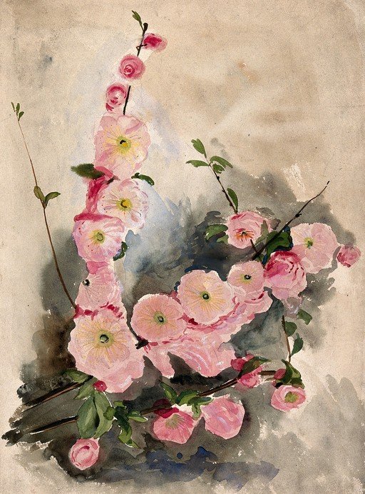 Watercolor Painting of Pink Blossoms on Branches