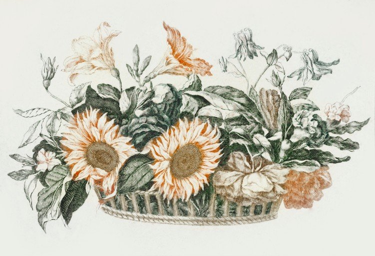 Vintage Botanical Illustration of Sunflowers and Other Flowers in a Basket
