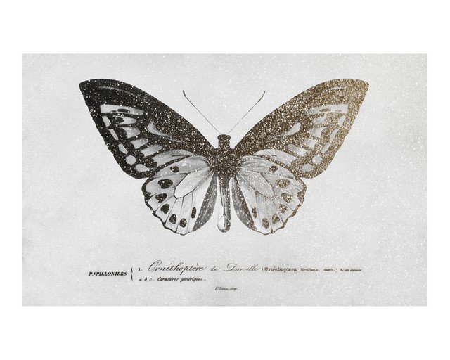 Vintage Butterfly Illustration with Glitter Accents