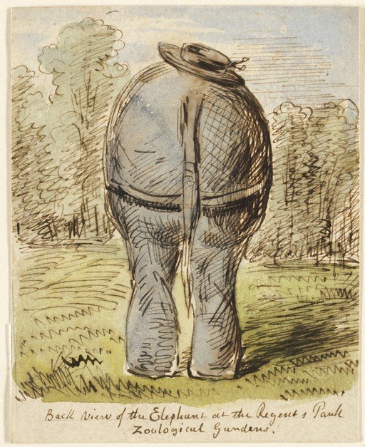 Elephant at Regent's Park Zoological Gardens, Back View