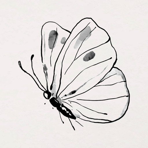 Ink Wash Butterfly Illustration