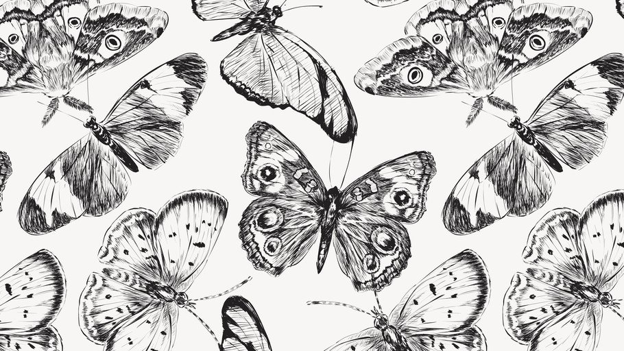Monochromatic Butterfly Sketch Pattern
