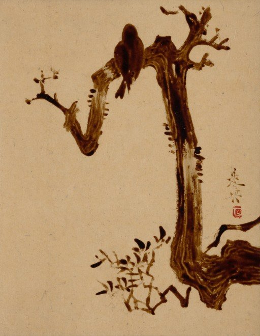 Two Birds Perched on a Bare Tree Branch