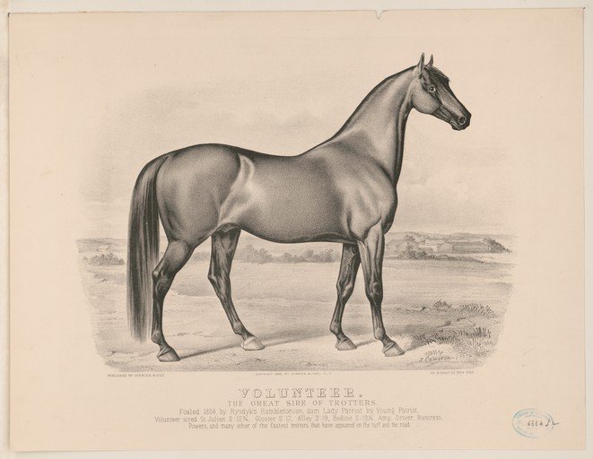 Volunteer, The Great Sire of Trotters