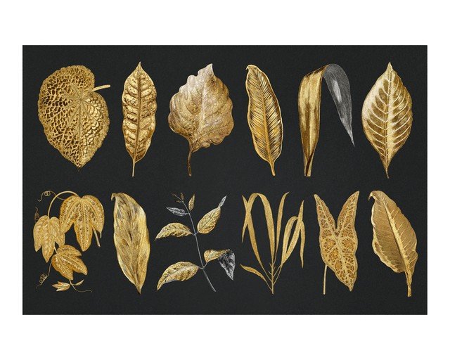 Collection of Golden Botanical Illustrations on Black