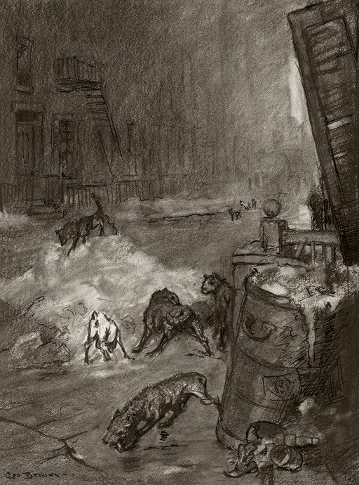 Dogs in a Grimy Alleyway