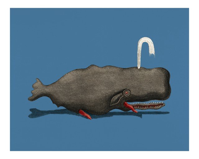 Whimsical Sperm Whale Illustration with Red Accents
