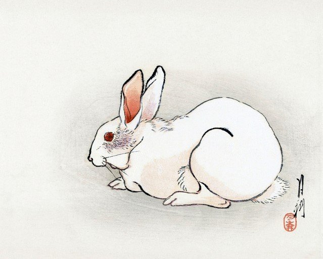 Elegant Watercolor Painting of a White Rabbit