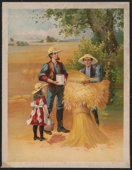 Farm Family Harvesting Wheat in a Golden Field
