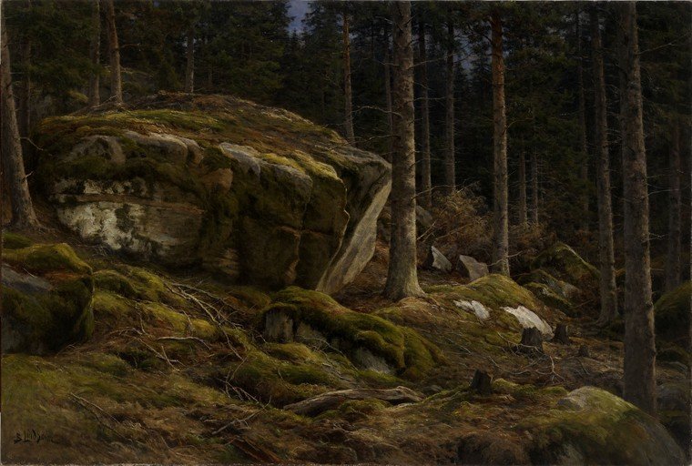 Moss-Covered Boulders in a Dark Forest