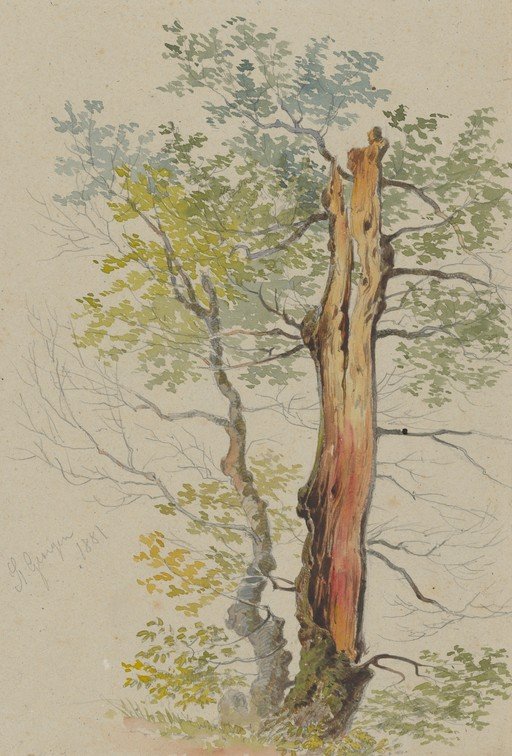 Watercolor painting of two trees, one decaying
