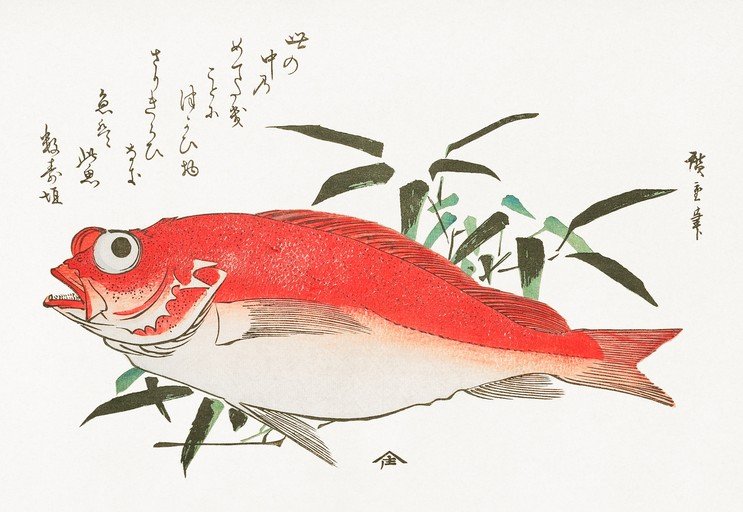 Vibrant Red Fish with Bamboo Illustration