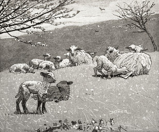 Sheep and Lambs in a Pastoral Landscape