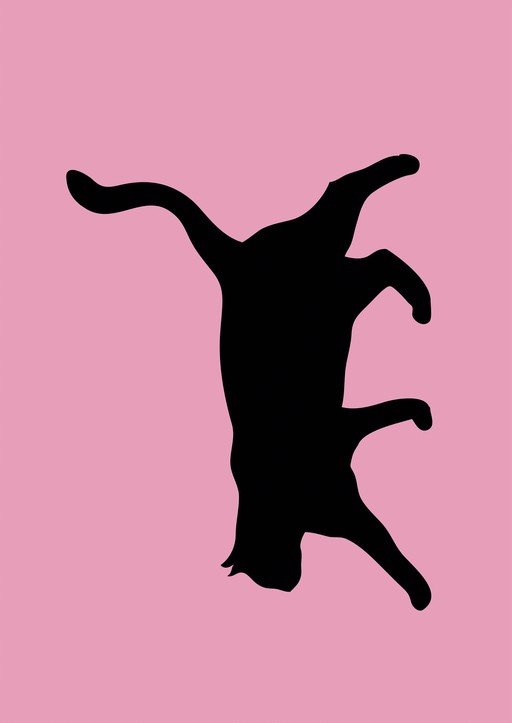 Black Cat Silhouette on Pink Background