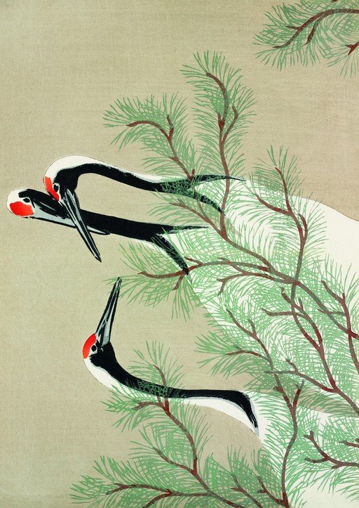 Three Cranes Among Pine Branches
