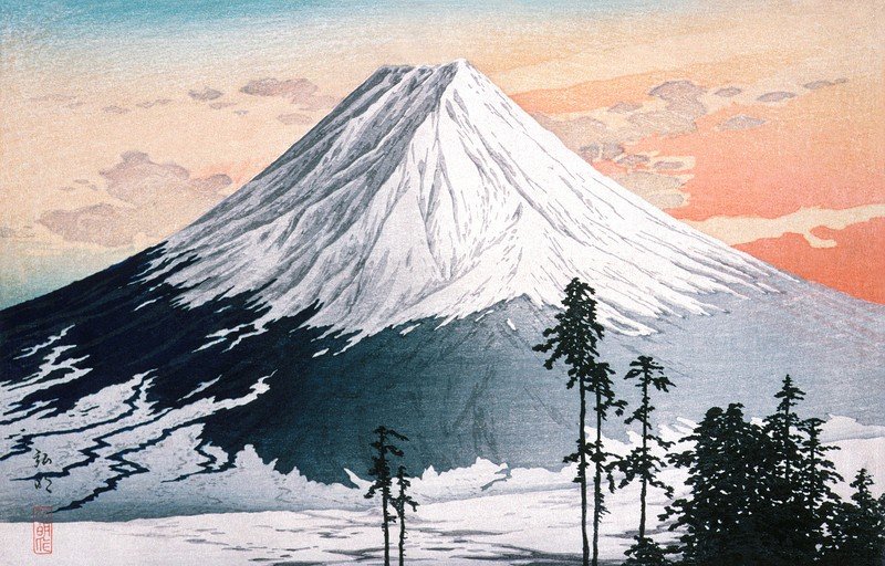 Mount Fuji in Snow with Pine Trees