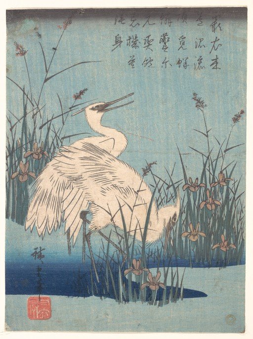 Two Egrets in a Marsh with Irises