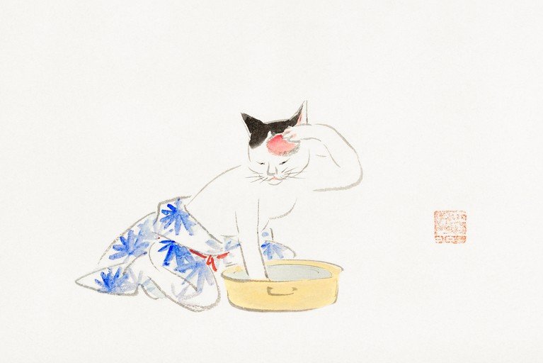 Cat in Yukata Washing Paw in Water Bowl