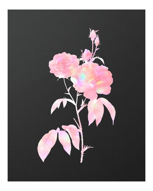 Holographic Pink Roses on Dark Background