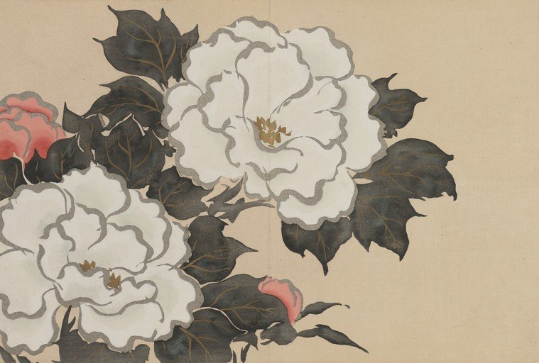 Elegant White Peonies with Dark Foliage