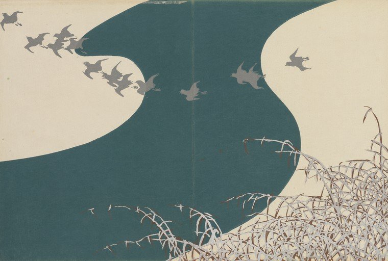 Flock of Birds Flying Over a Winding River