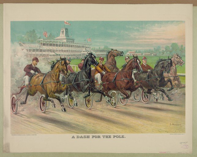 A Dash for the Pole Horse Race