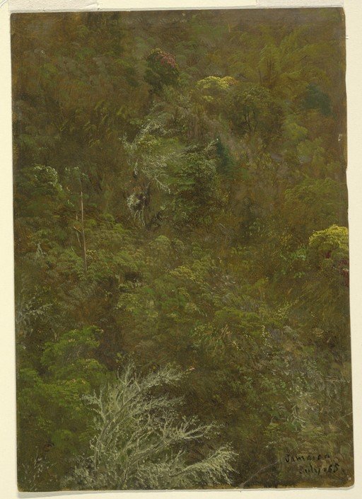 Lush Forest Landscape Painting