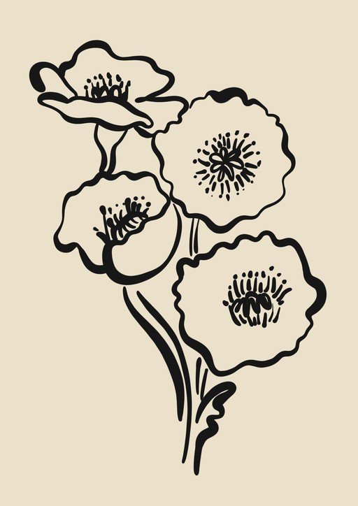 Minimalist Black and White Poppy Illustration