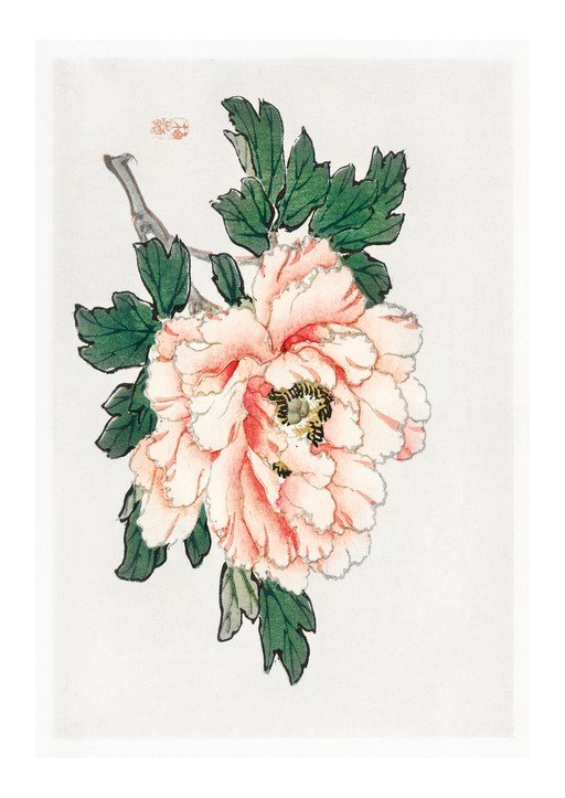 Japanese Peony Flower Painting with Red Seal