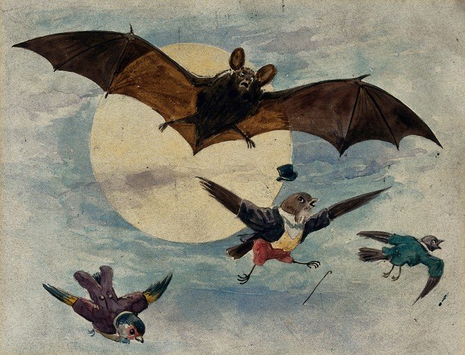 Whimsical Bat and Birds in Flight
